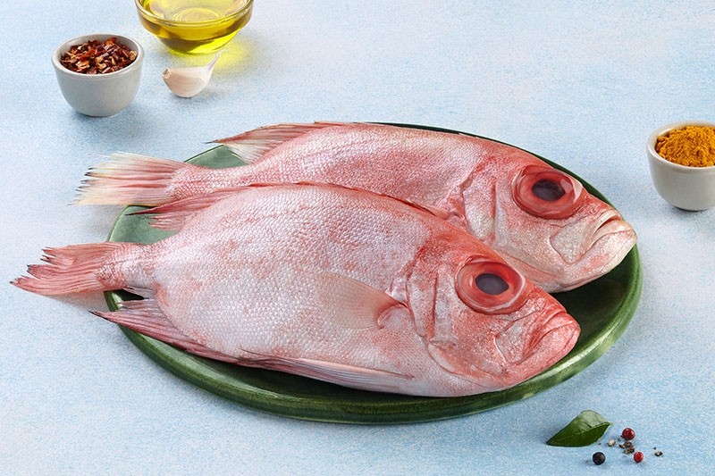 BIG EYE SNAPPER/ KANNAN POLA / കണ്ണൻ പോള (L)